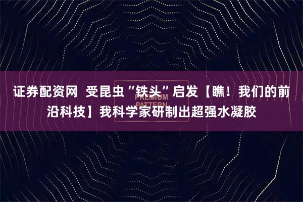证券配资网  受昆虫“铁头”启发【瞧！我们的前沿科技】我科学家研制出超强水凝胶