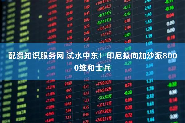 配资知识服务网 试水中东！印尼拟向加沙派8000维和士兵