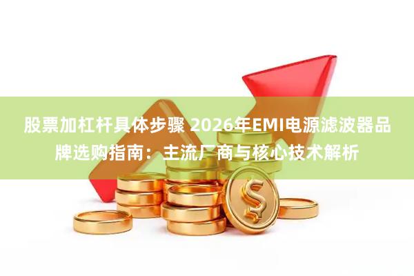 股票加杠杆具体步骤 2026年EMI电源滤波器品牌选购指南：主流厂商与核心技术解析